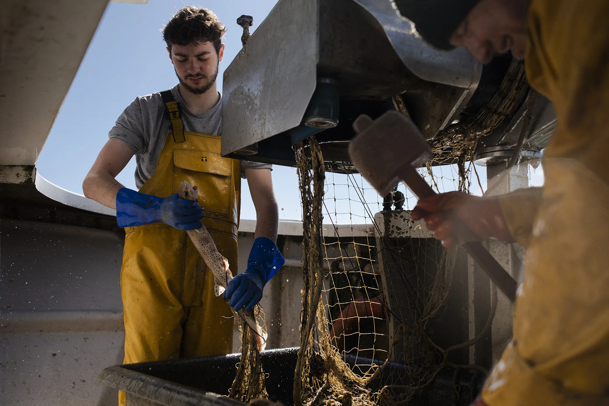 William removing the fish from the nets while Dad, Dave, frees debris from the nets.