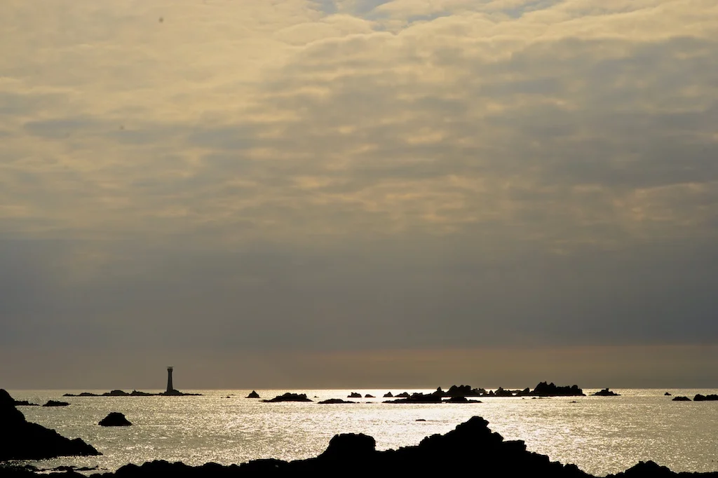 D4S_2785.jpg