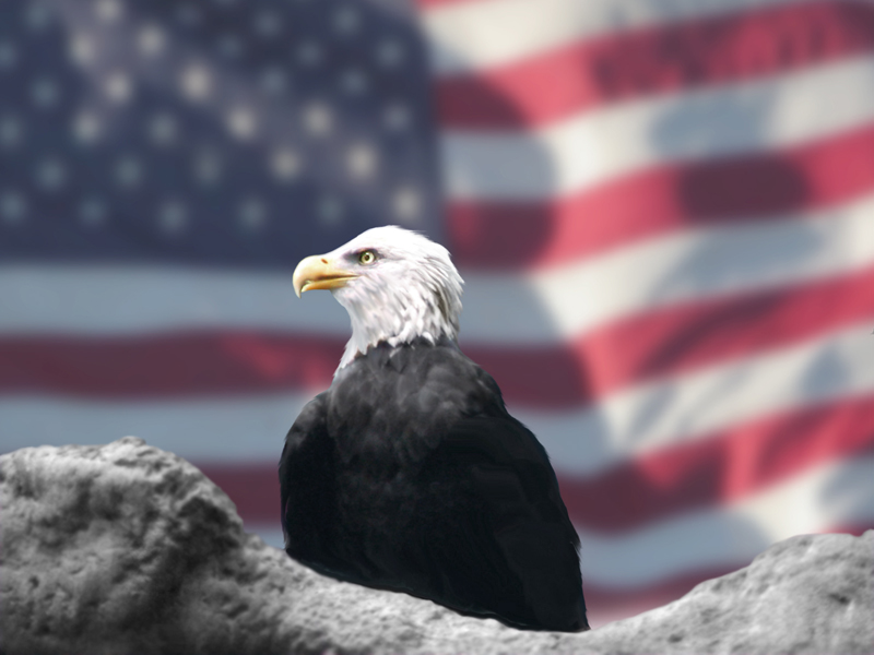 eagle and flag.jpg