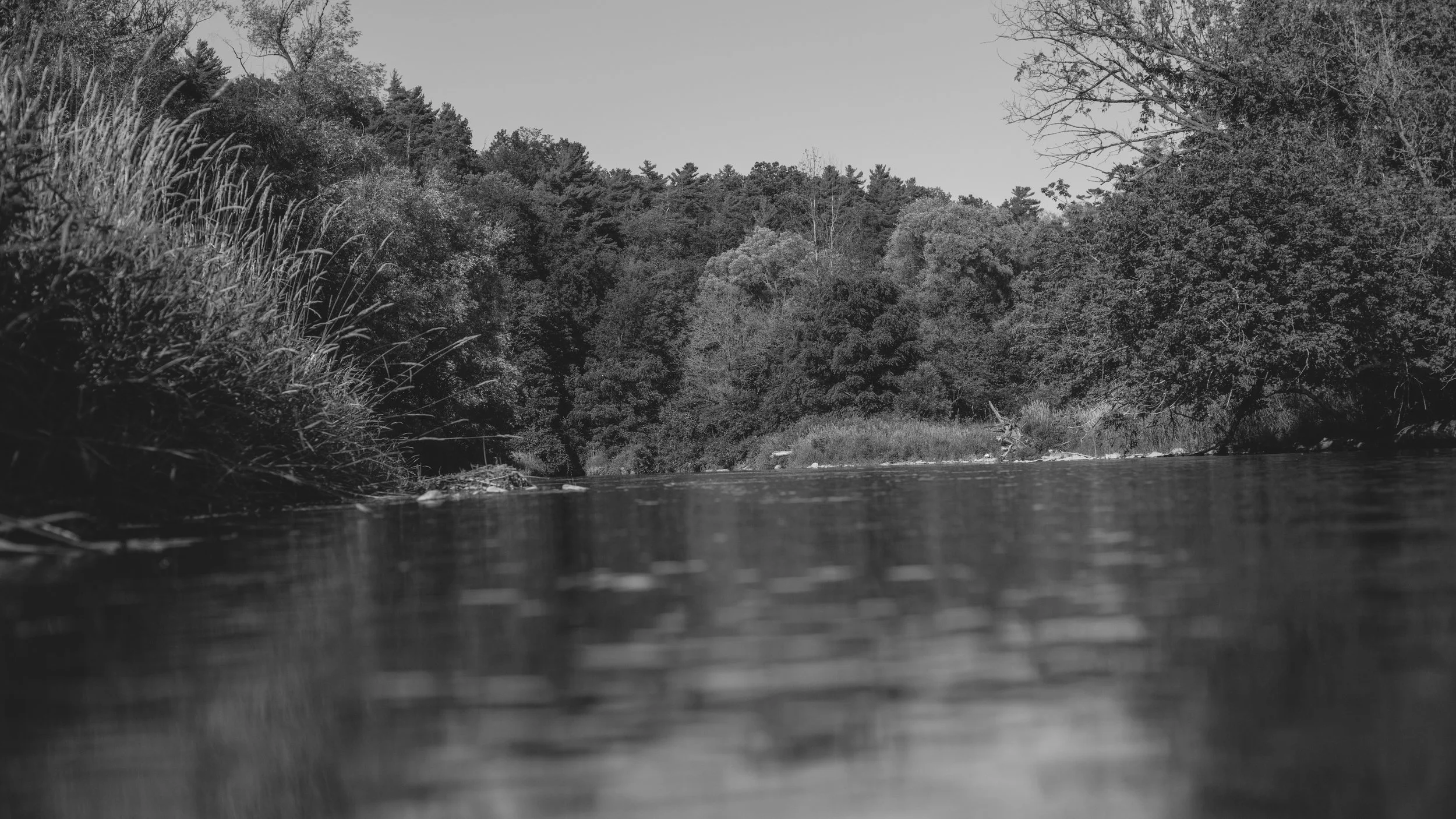 DSC_3000.jpg