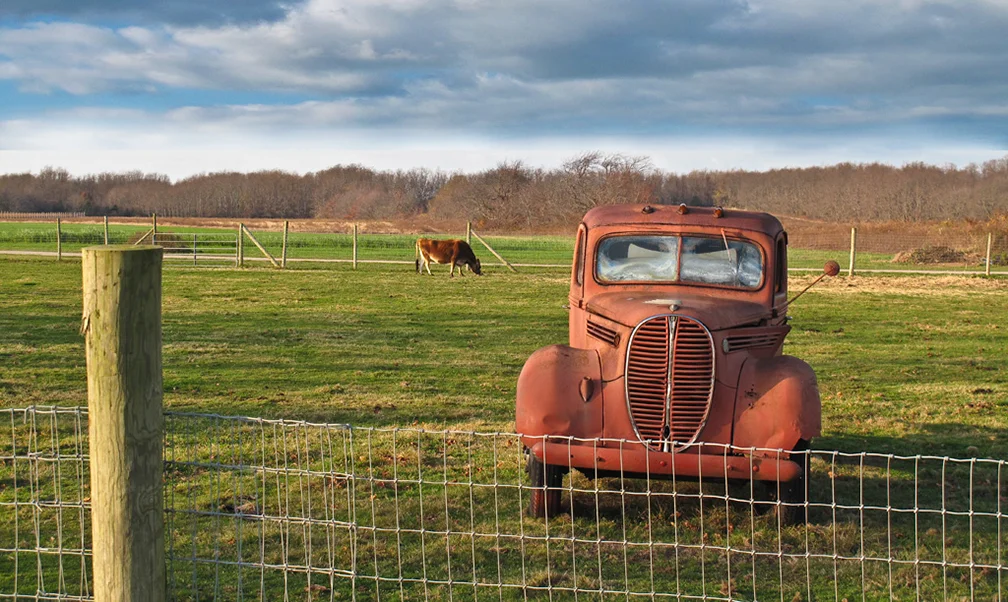 Truck-&-Cow-on-Farm.jpg