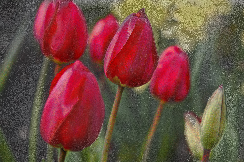 Monet Crosshatch and ChromeTulips copy.jpg