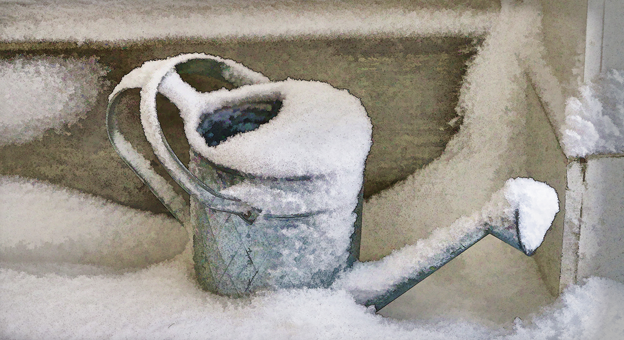 Watering Can Snow.jpg