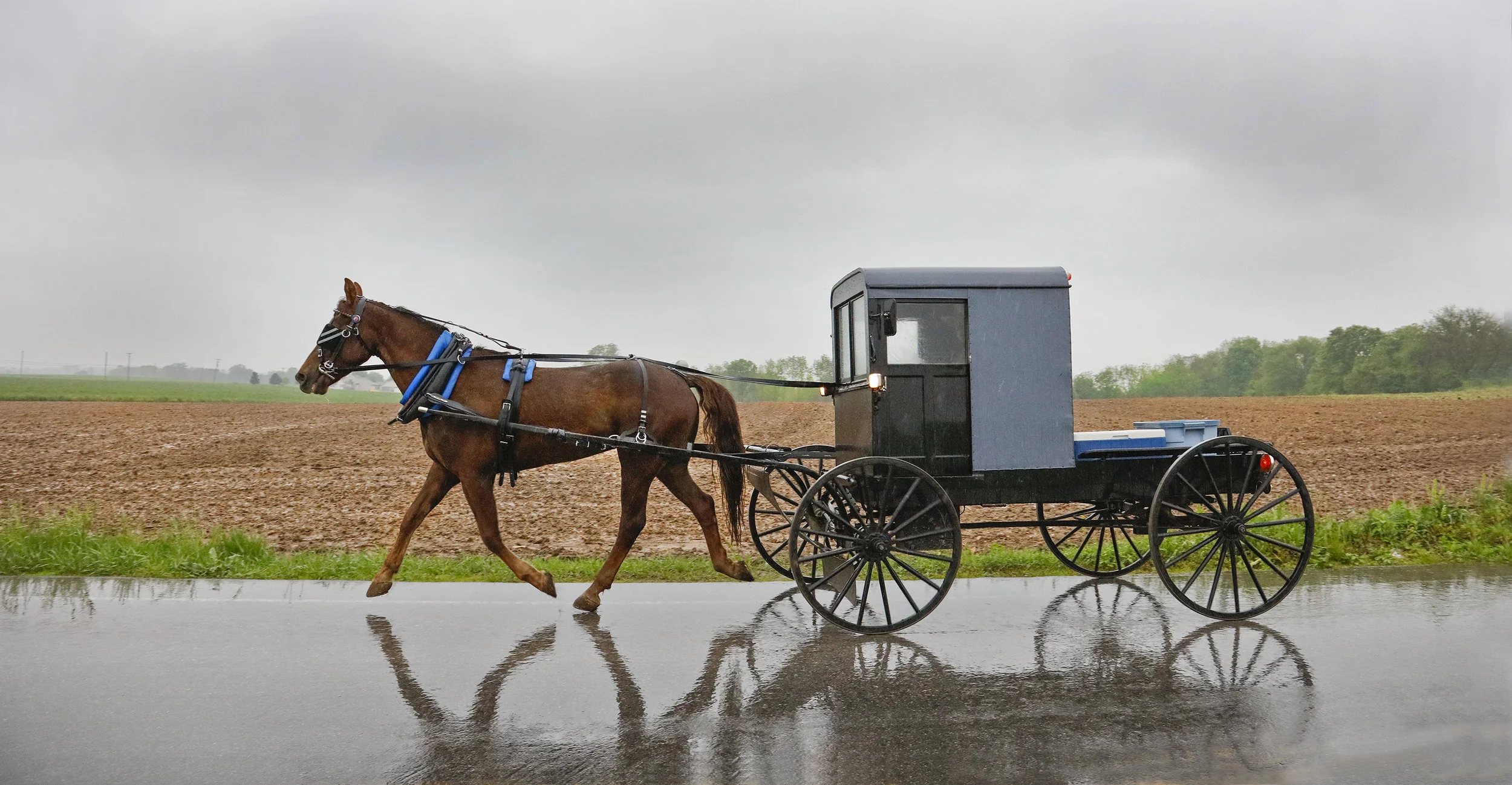 Amish Buggy.jpg