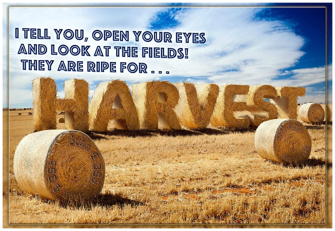 open your eyes.jpg