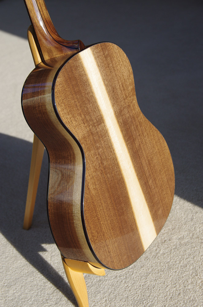Eastern Black Walnut guitar back