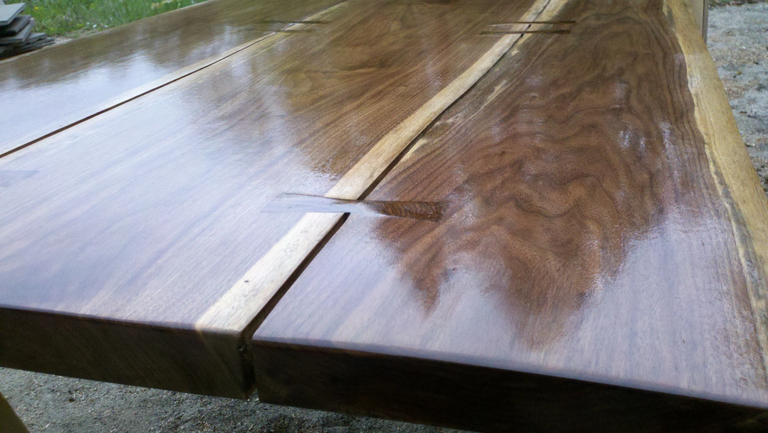 Eastern Black Walnut