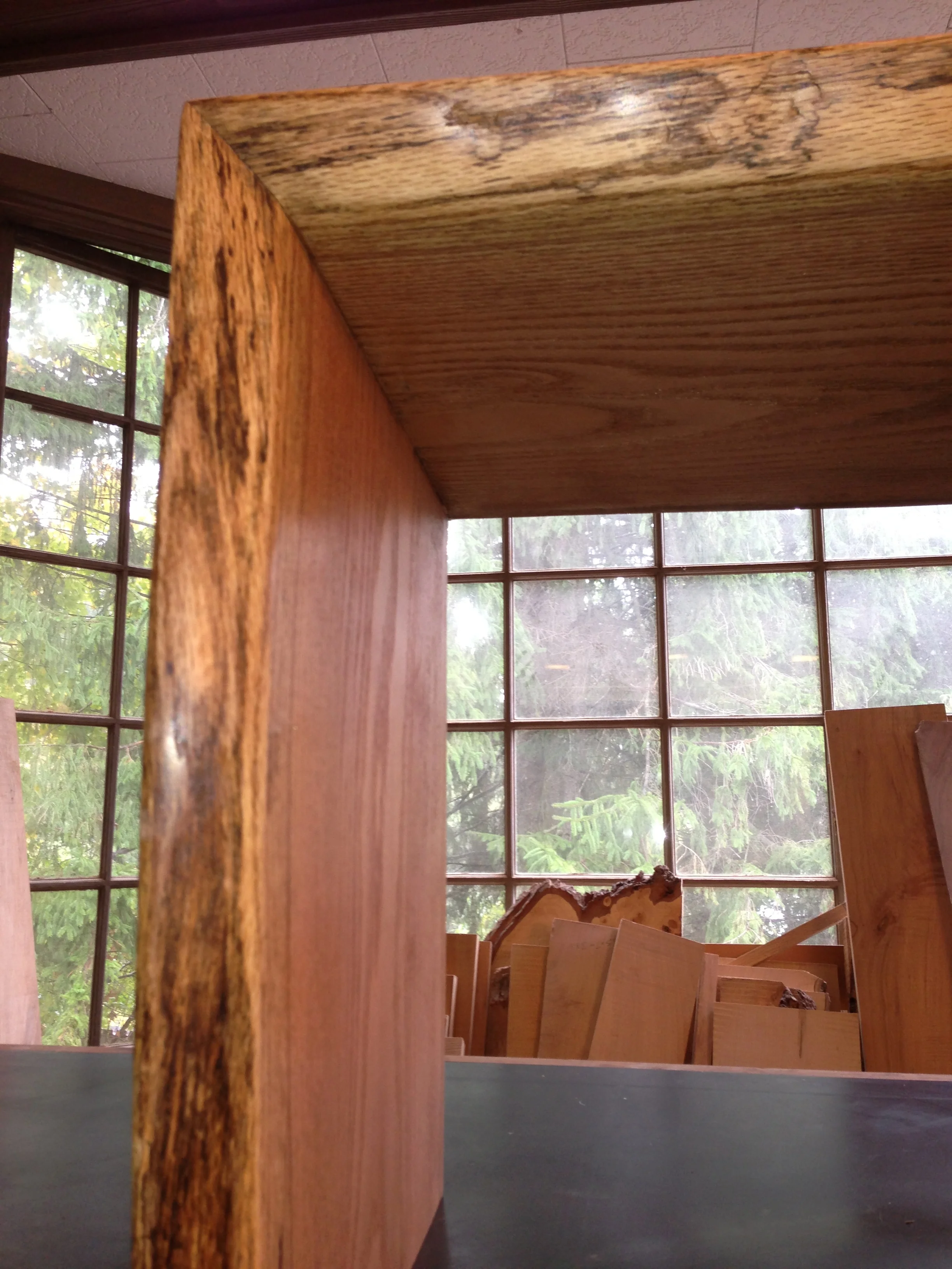 Eastern Black Oak