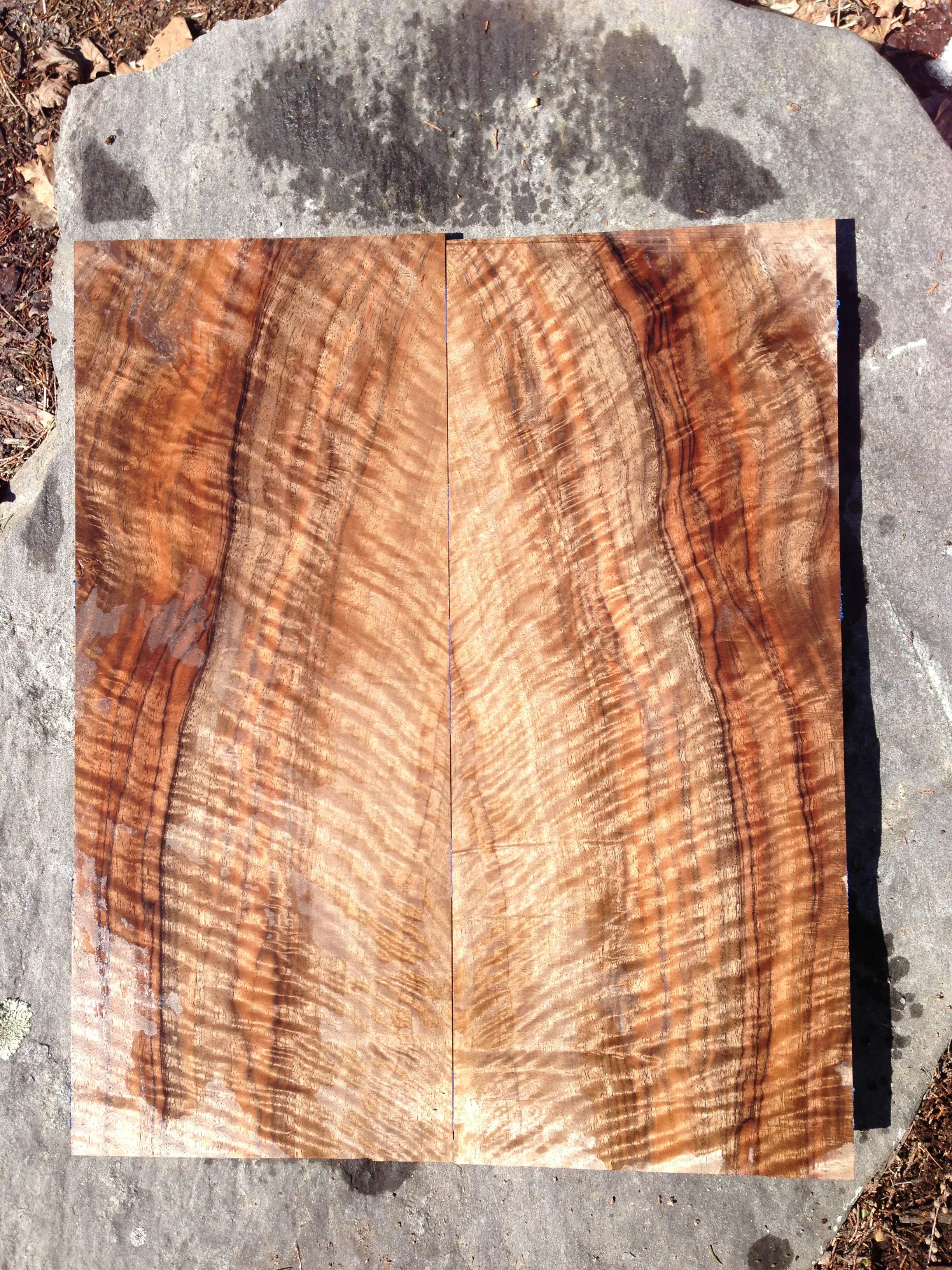 Bastogne Walnut