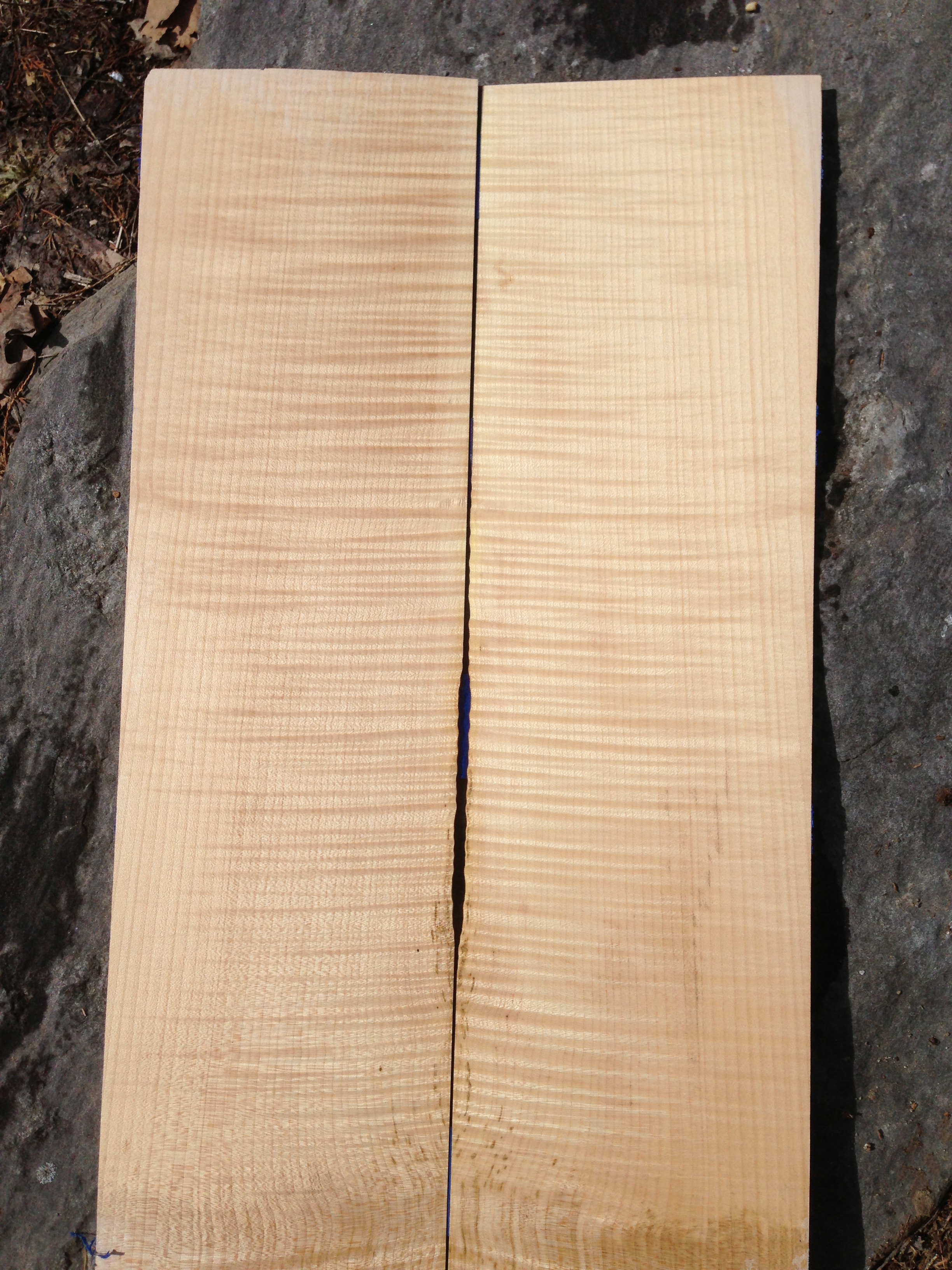 Curly Rock Maple