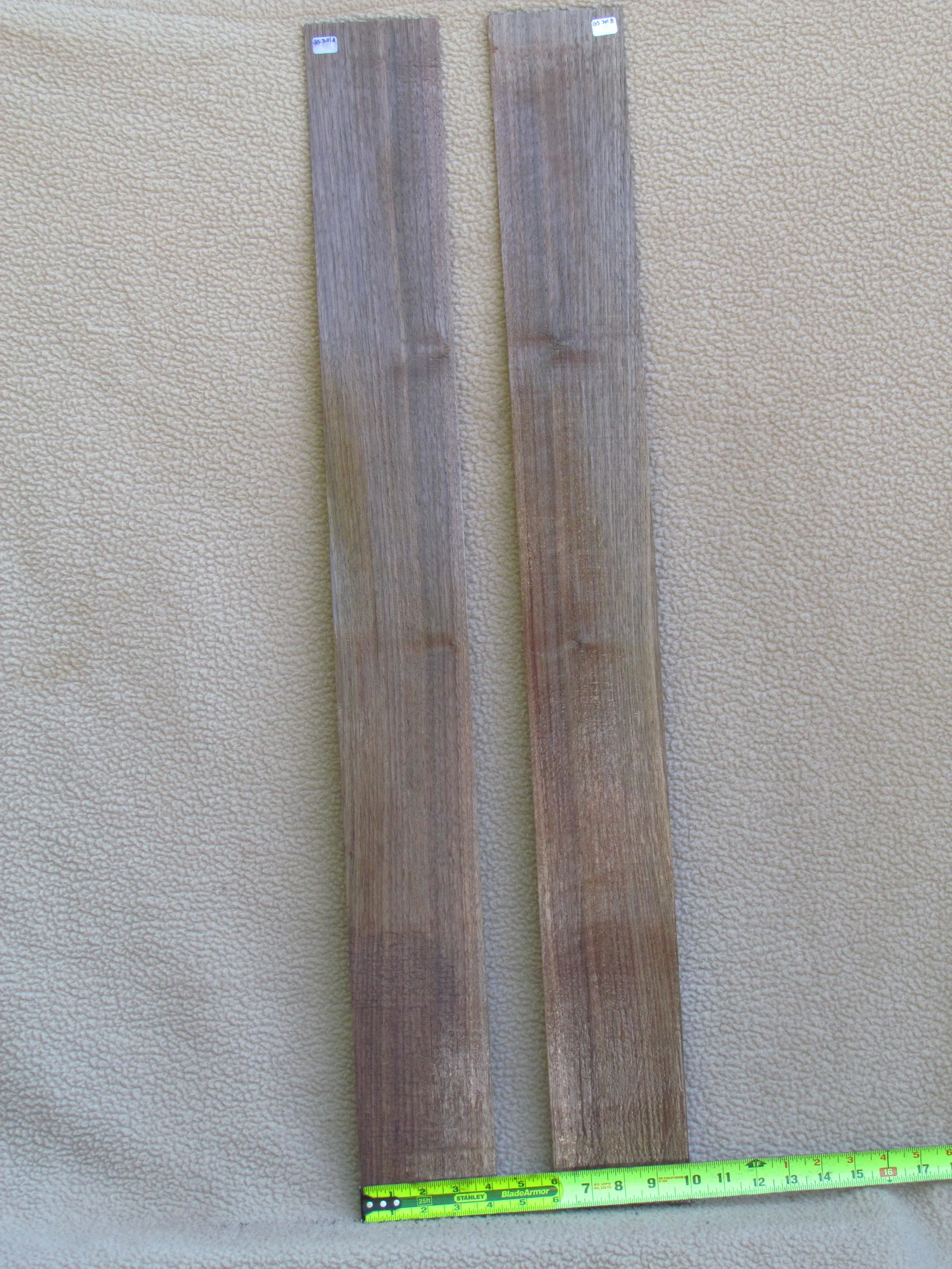 Eastern Black Walnut