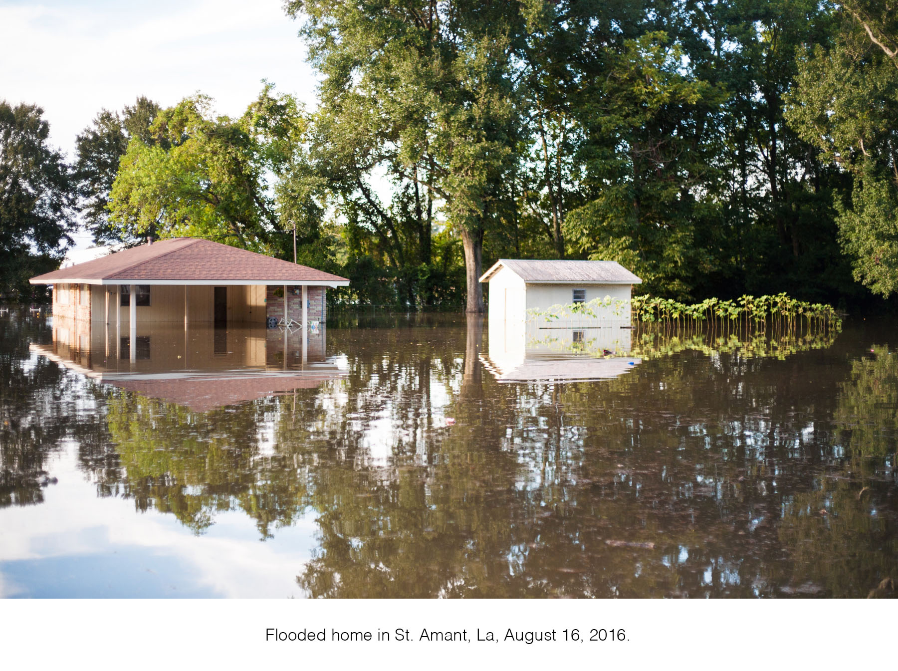 floodcapt1.jpg
