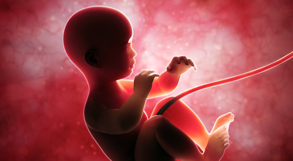 El Holocausto del Aborto
