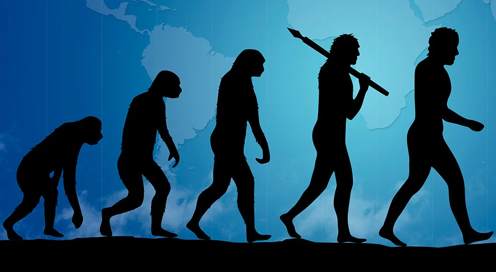 Australopithecus Sediba: ¿Una Innovación Evolutiva?