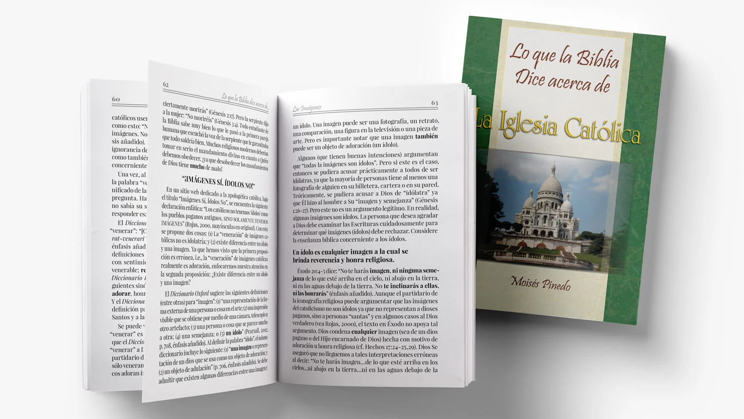 Lo que la Biblia Dice Acerca de la Iglesia Católica