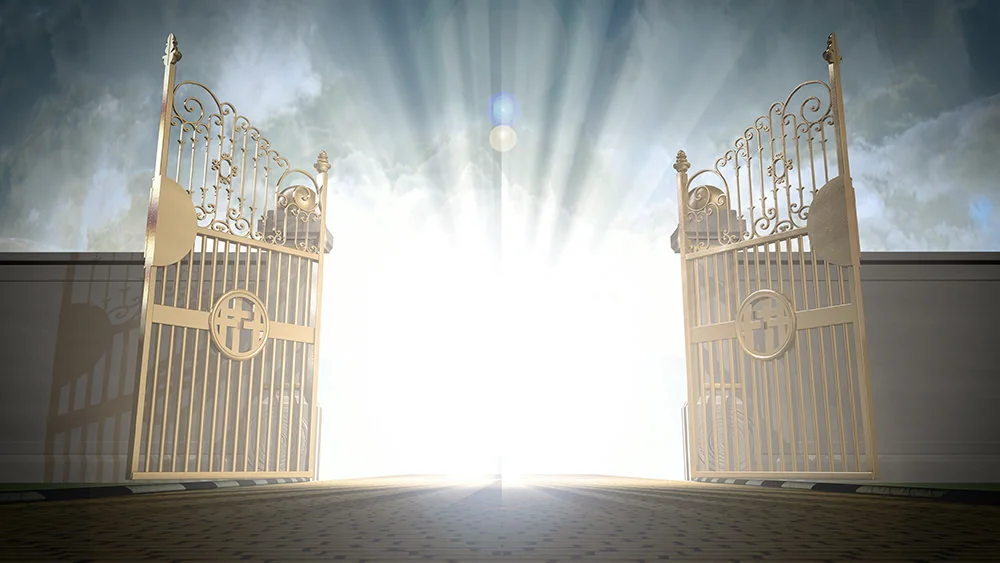 How to Enter the Kingdom