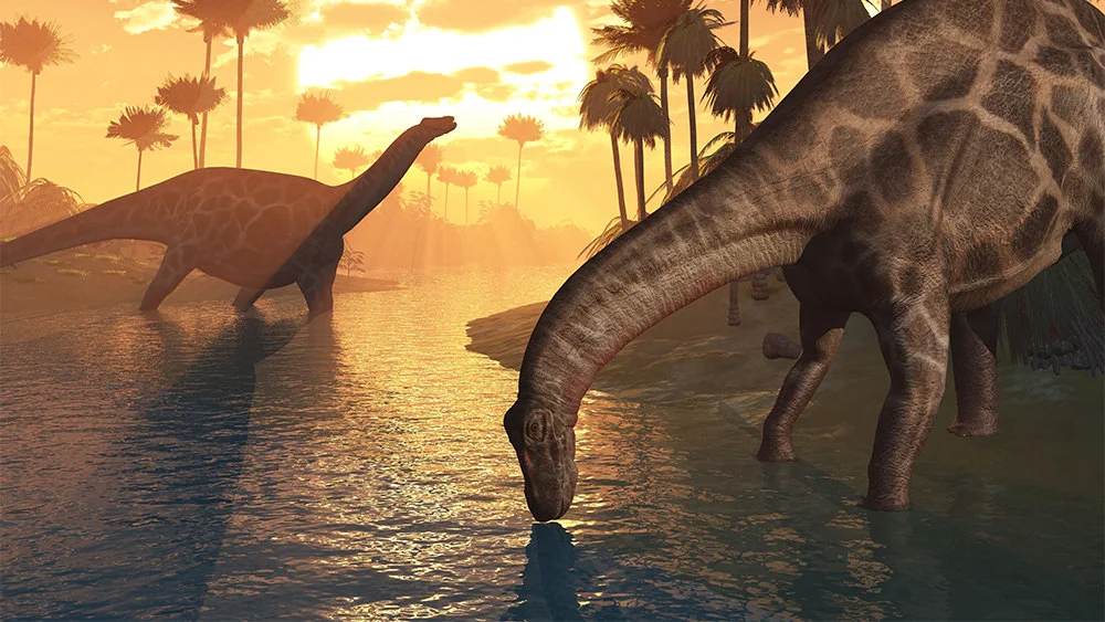¿Por qué la Biblia No Menciona a los Dinosaurios?