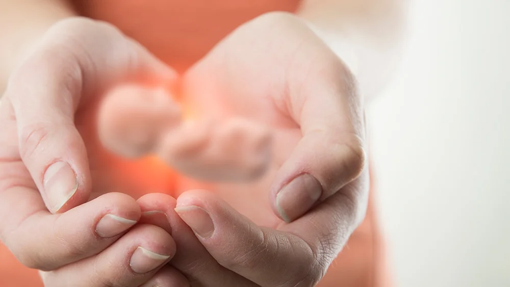 El Aborto y la Biblia