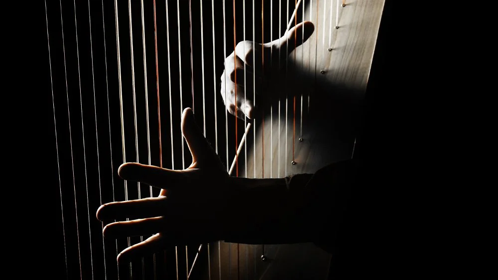David y los instrumentos musicales
