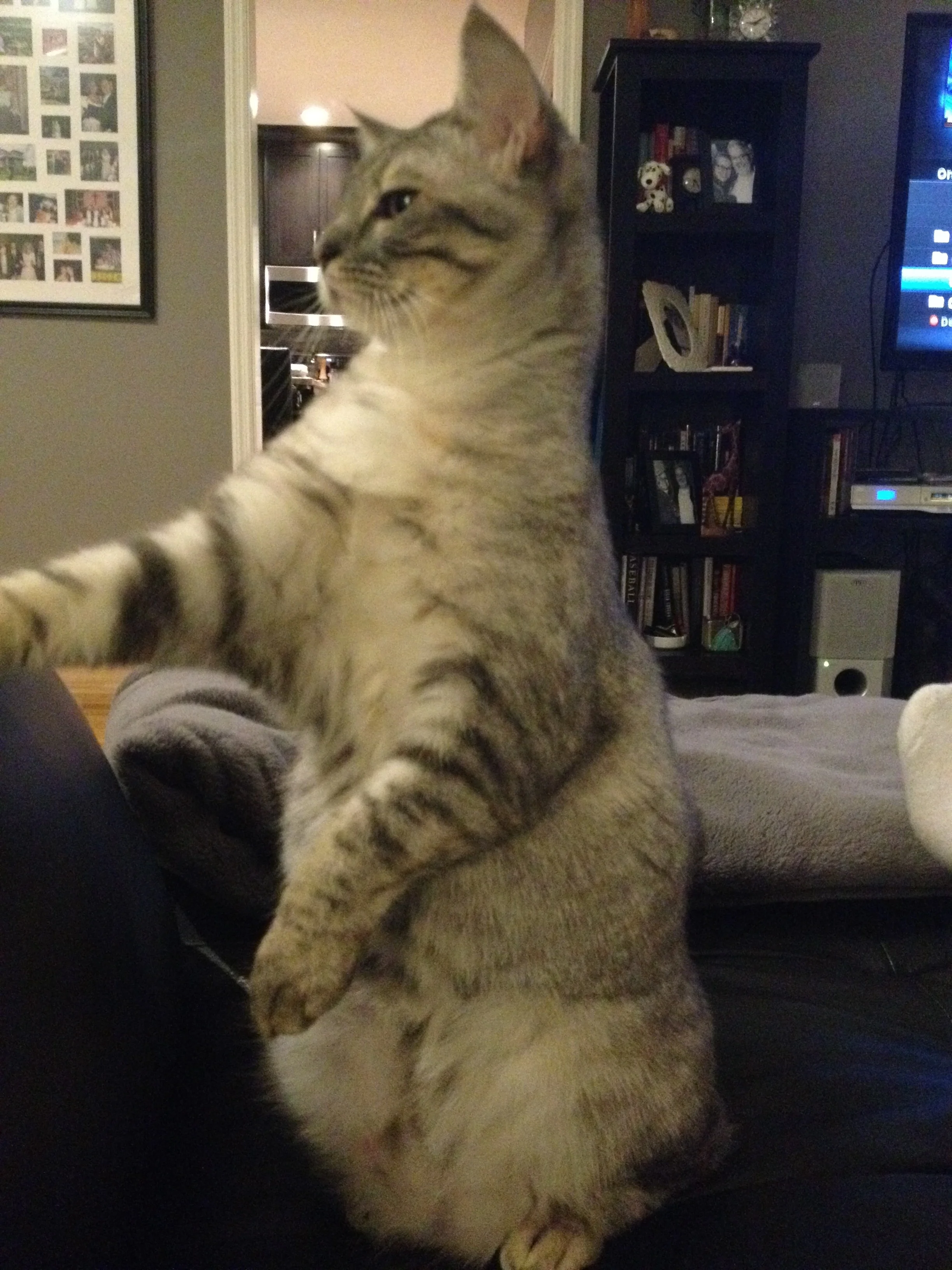 But, soft! What light through yonder window breaks?