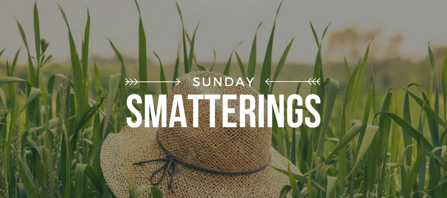 Smatterings - August 12.jpg