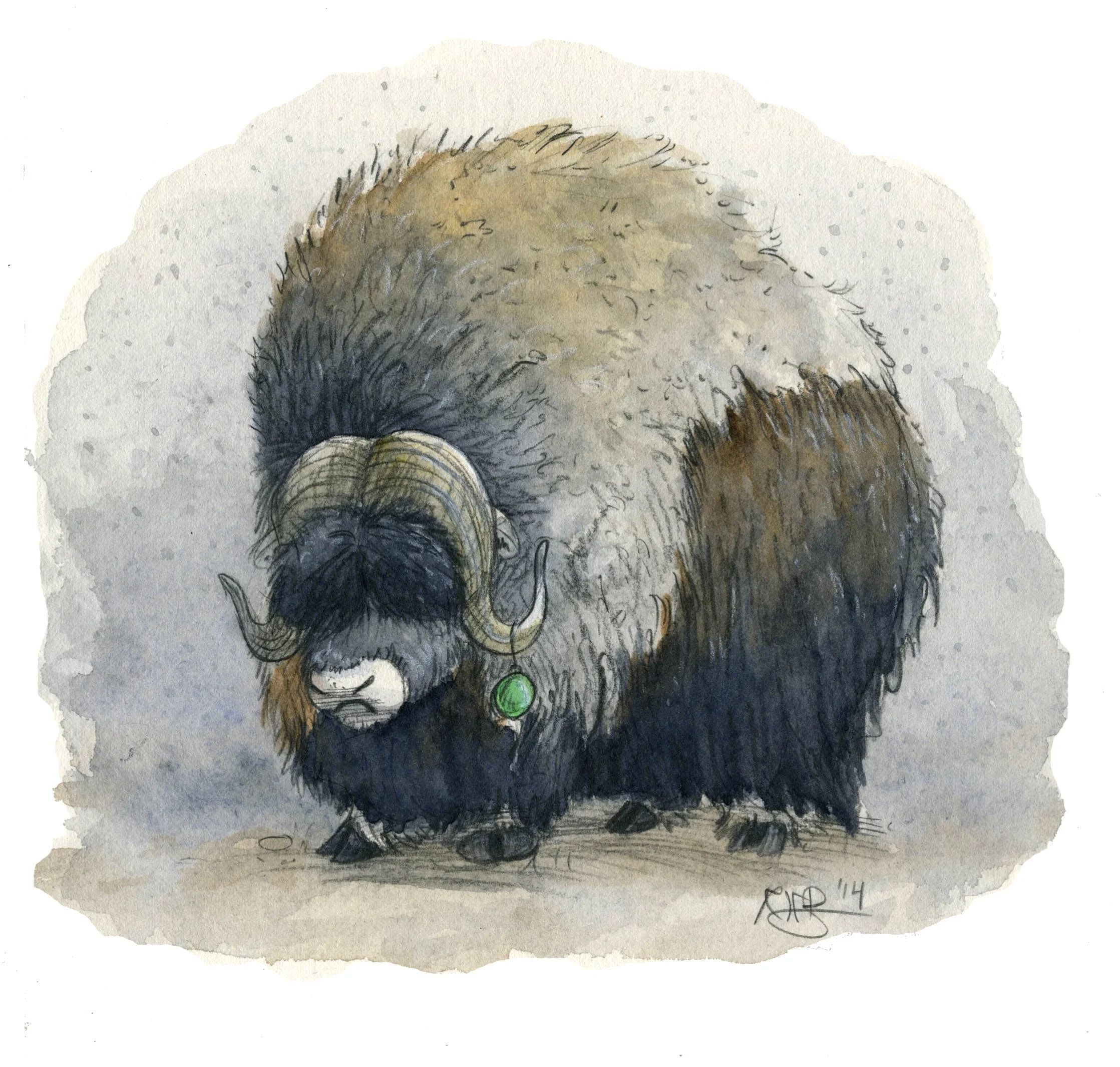 muskox_snow.jpg