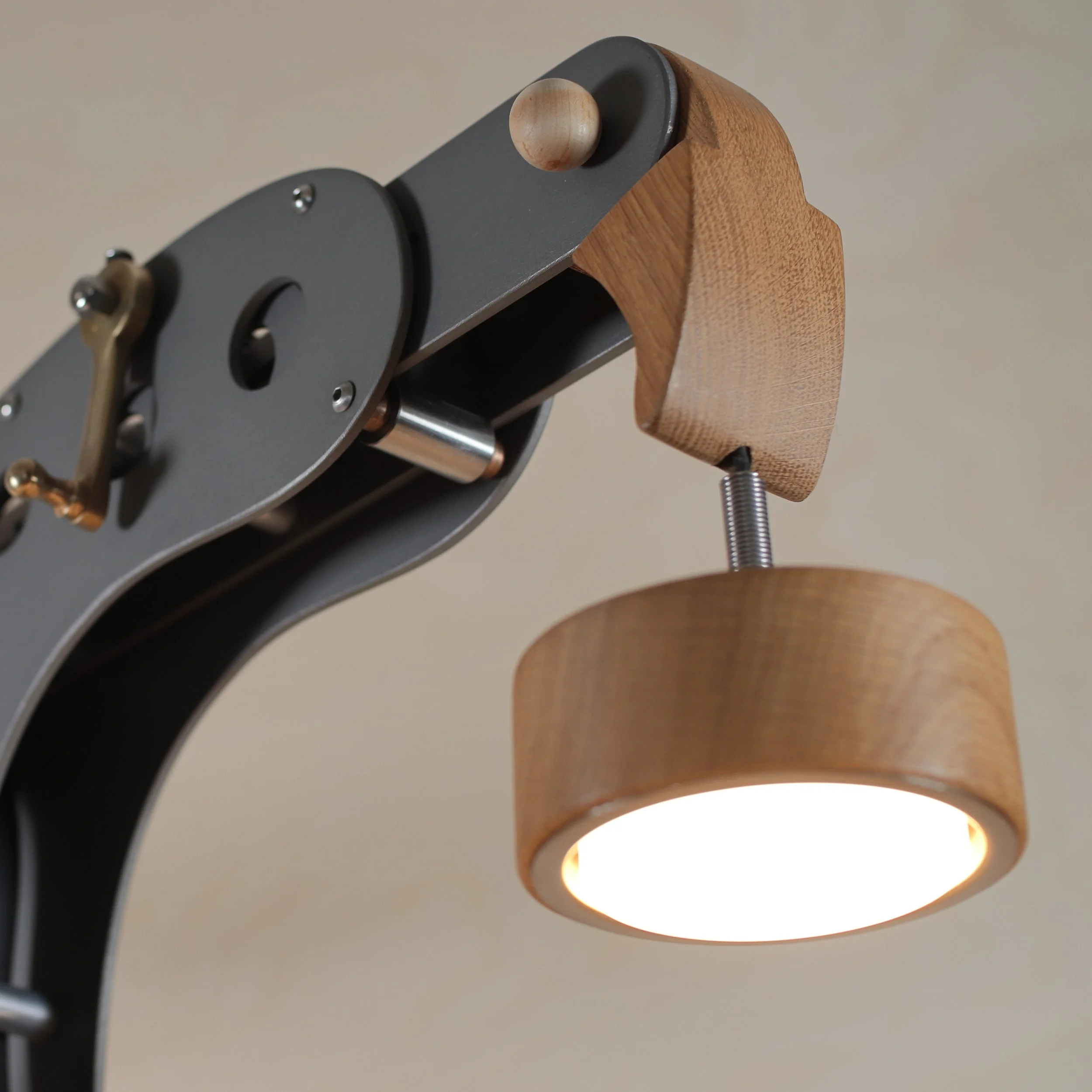 Hawk mechanical sculptural lamp