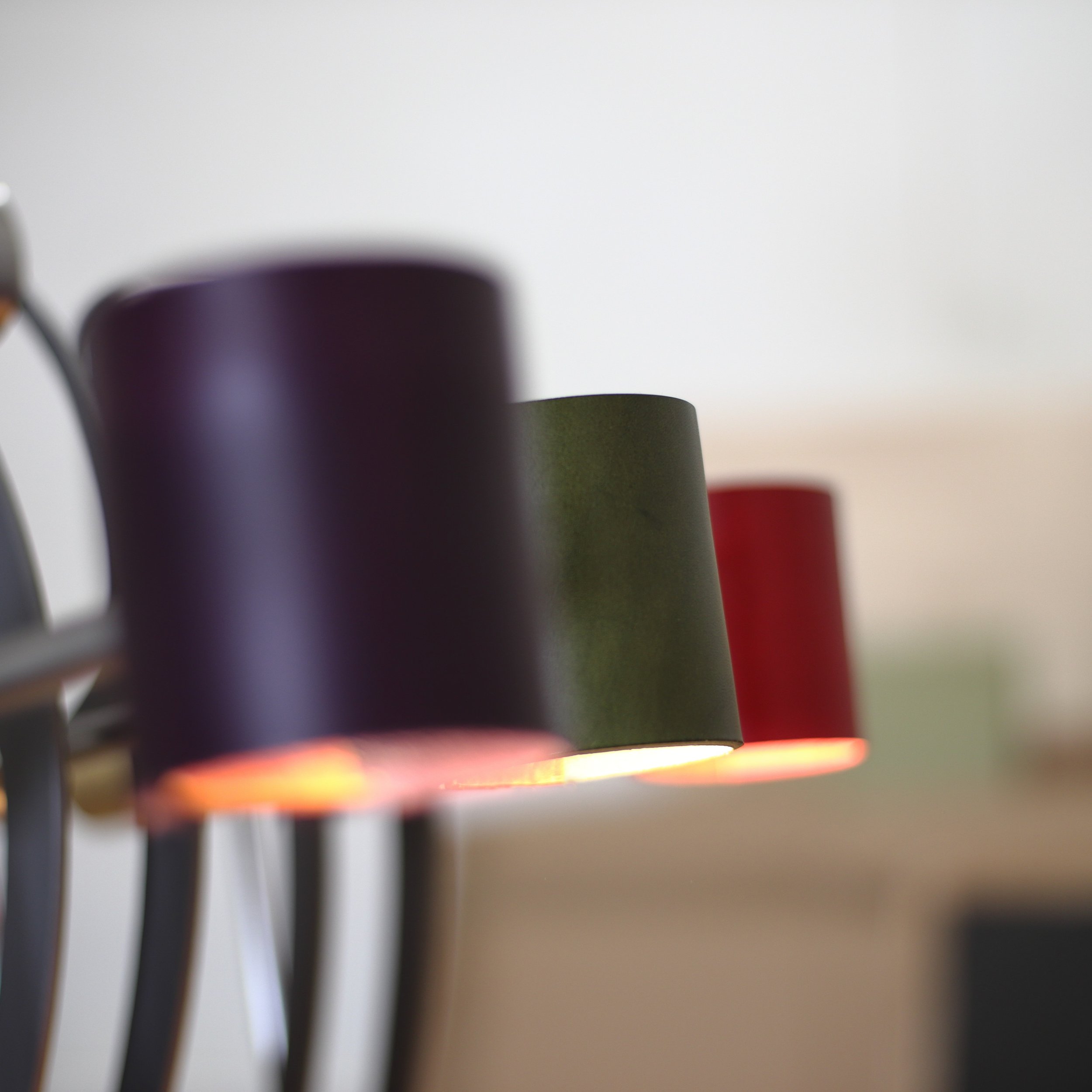 Red, Olive and Purple - group close-up - IMG_2378.JPG