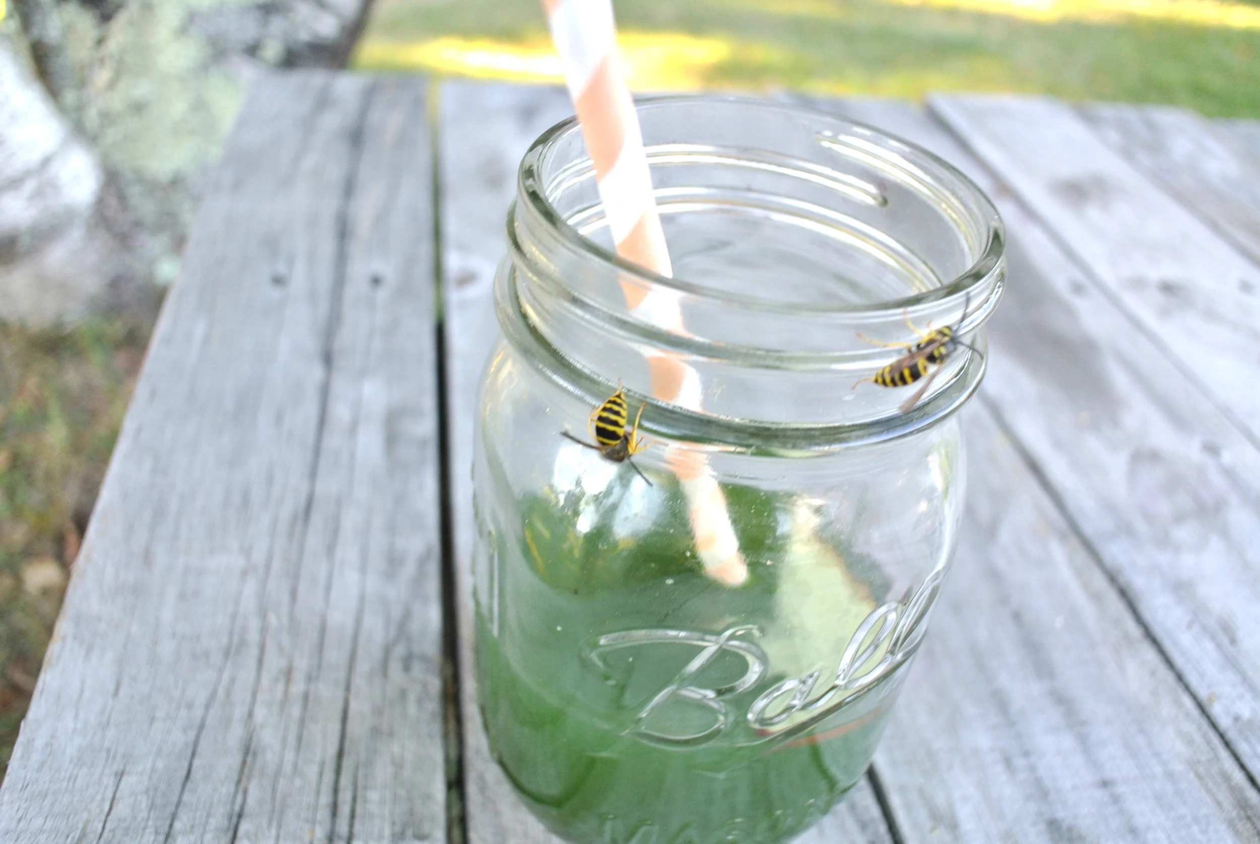 The bees needed to take the edge off.