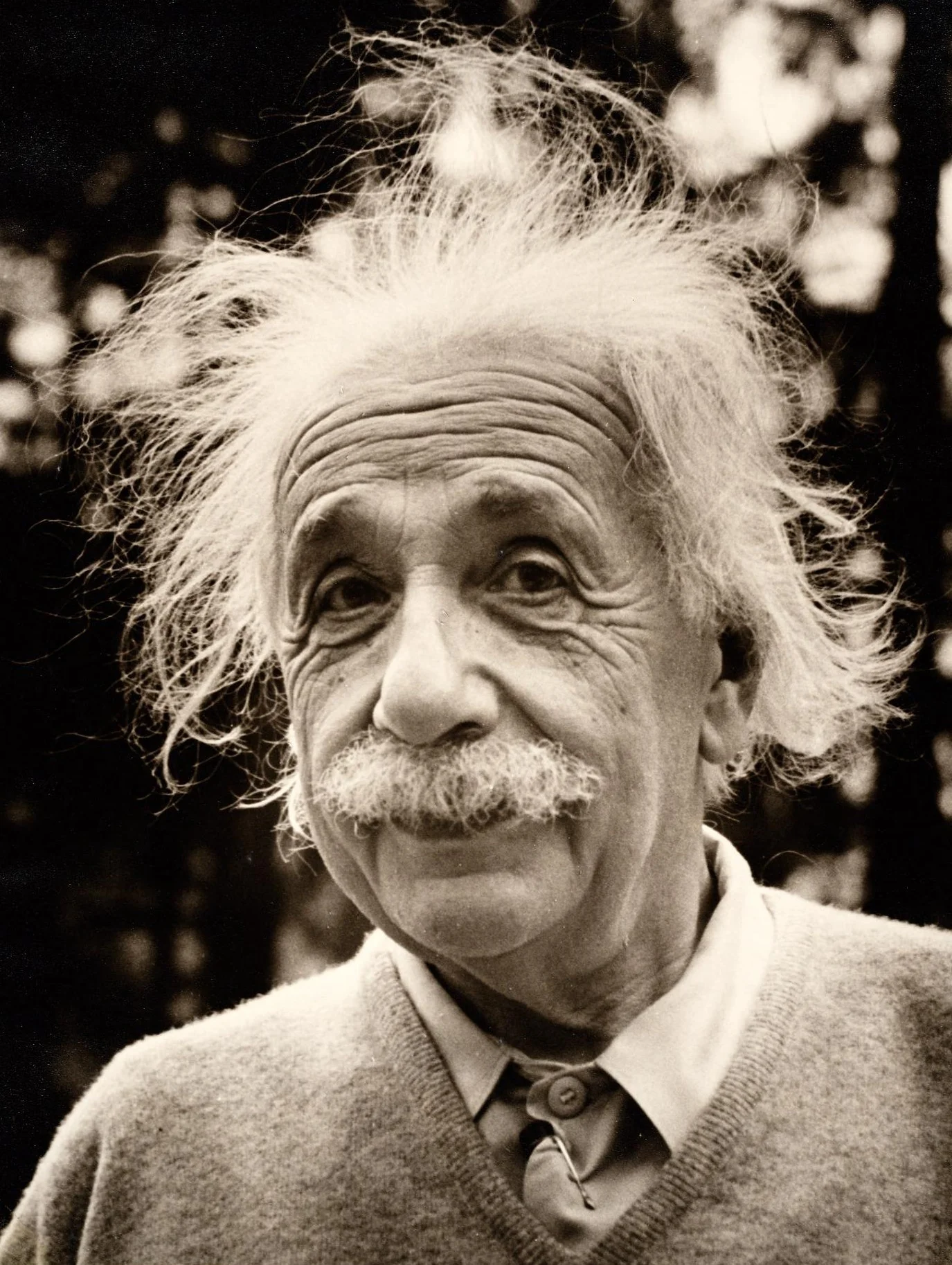 "Everybody is a genius. But if you judge a fish by its ability to climb a tree, it will live its whole life believing that it is stupid." &nbsp;-Albert Einstein