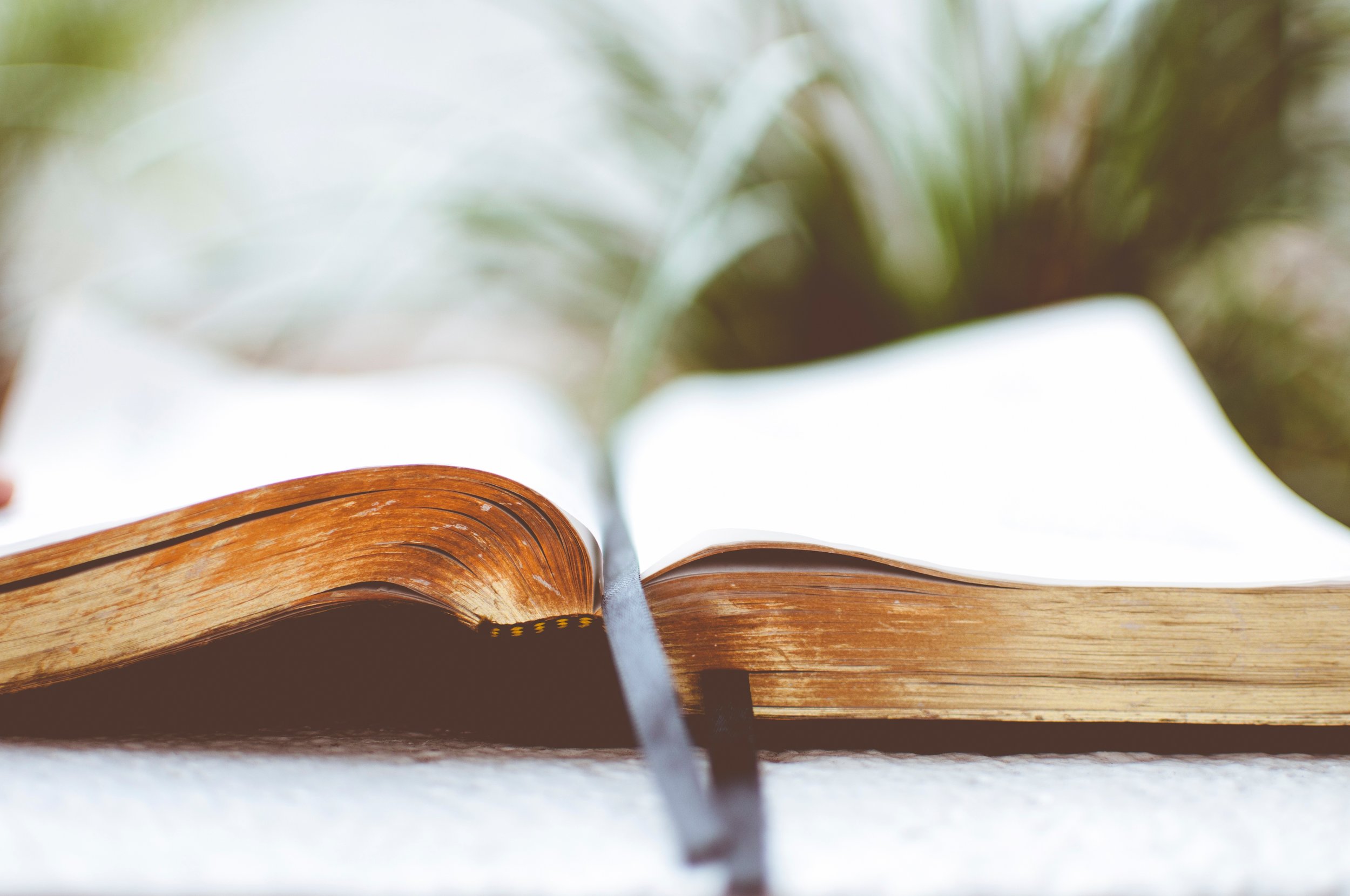 Christian Gap Year Opportunities: 5 Reasons to Do a Bible School Program