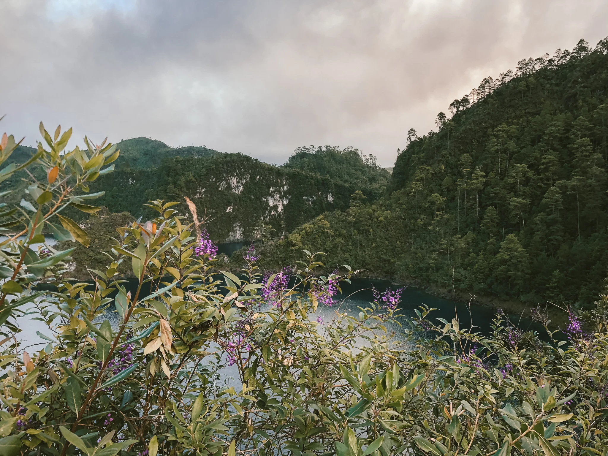 Discipleship Programs: Uncovering My Roots in a Photography DTS