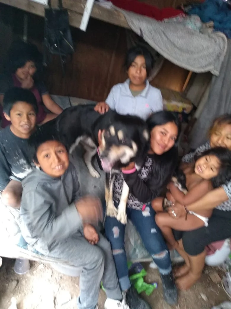 IMG-20190521-WA0000.jpg