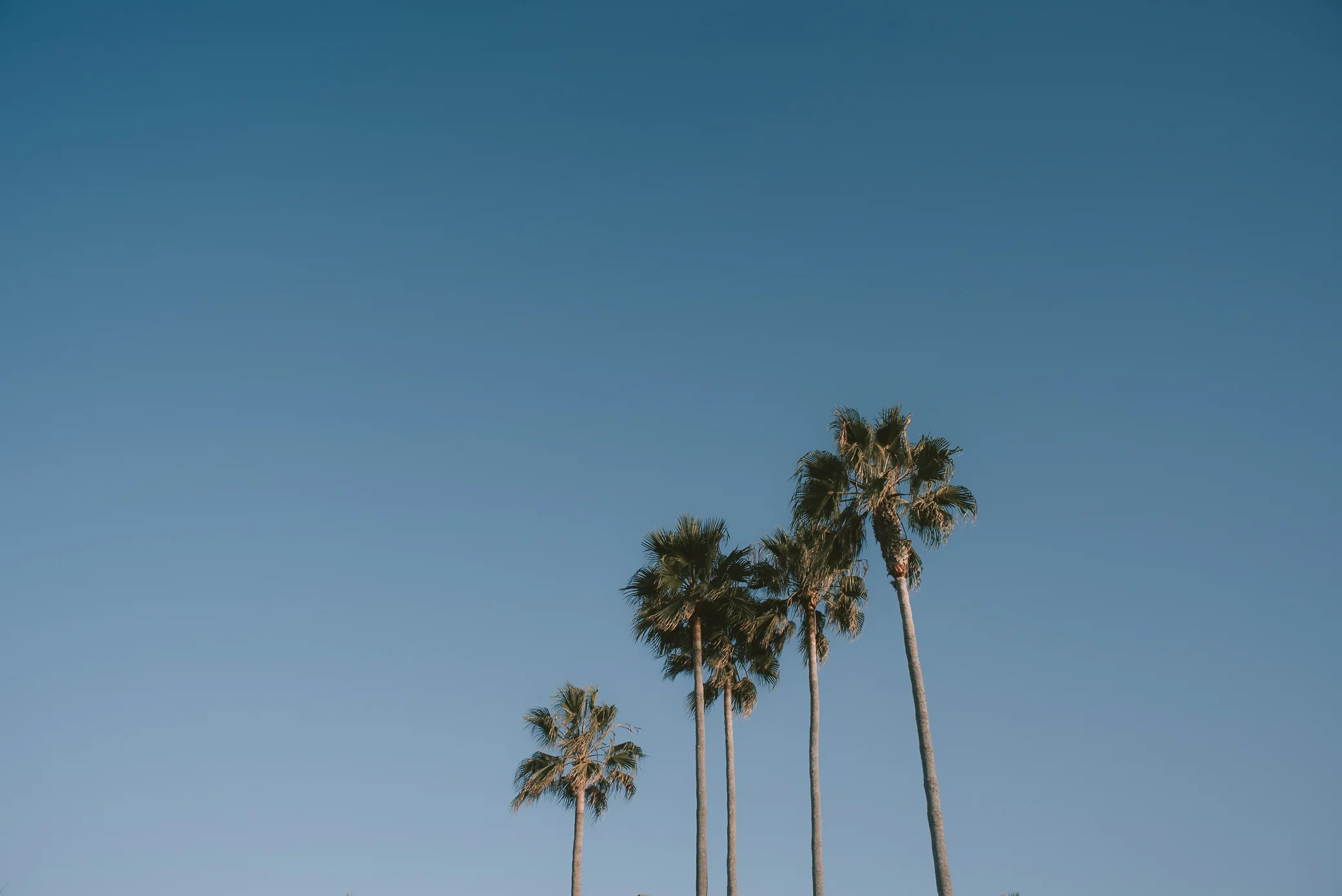 tijuana (1 of 1).jpg