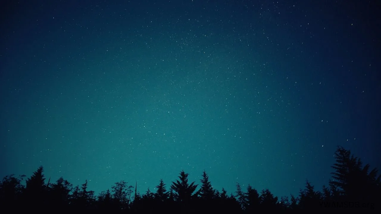 BACKGROUND.jpg