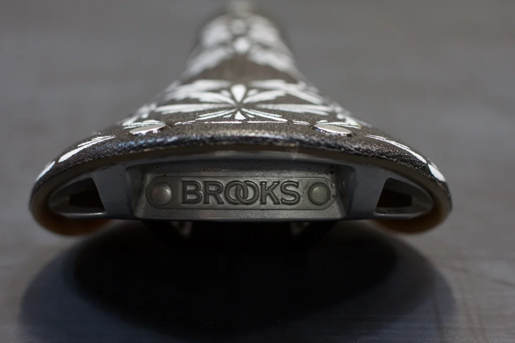 Brooks c15 custom painted dklein saddle