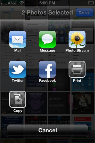 A share sheet in the Photos app on an iPhone running iOS 6.