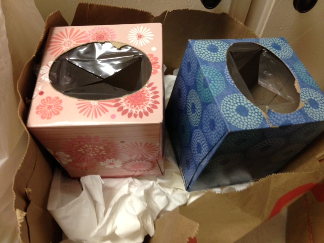 tissues.png