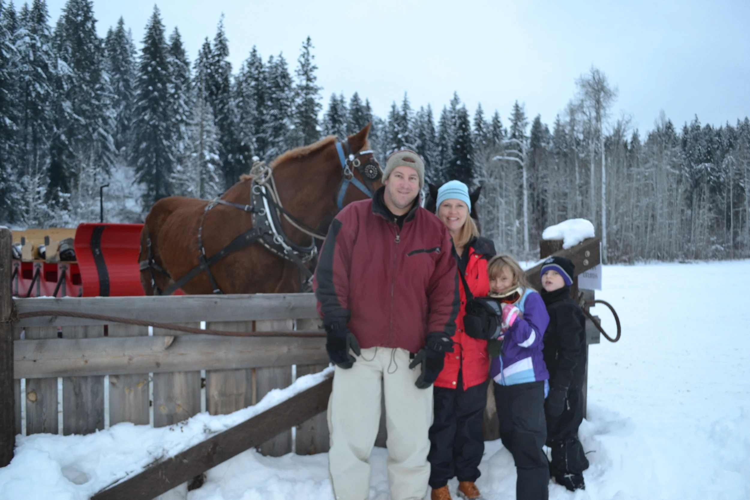 This is us --- in Washington State on New Years Day --- getting ready for a sleigh ride! (it was VERY cold)