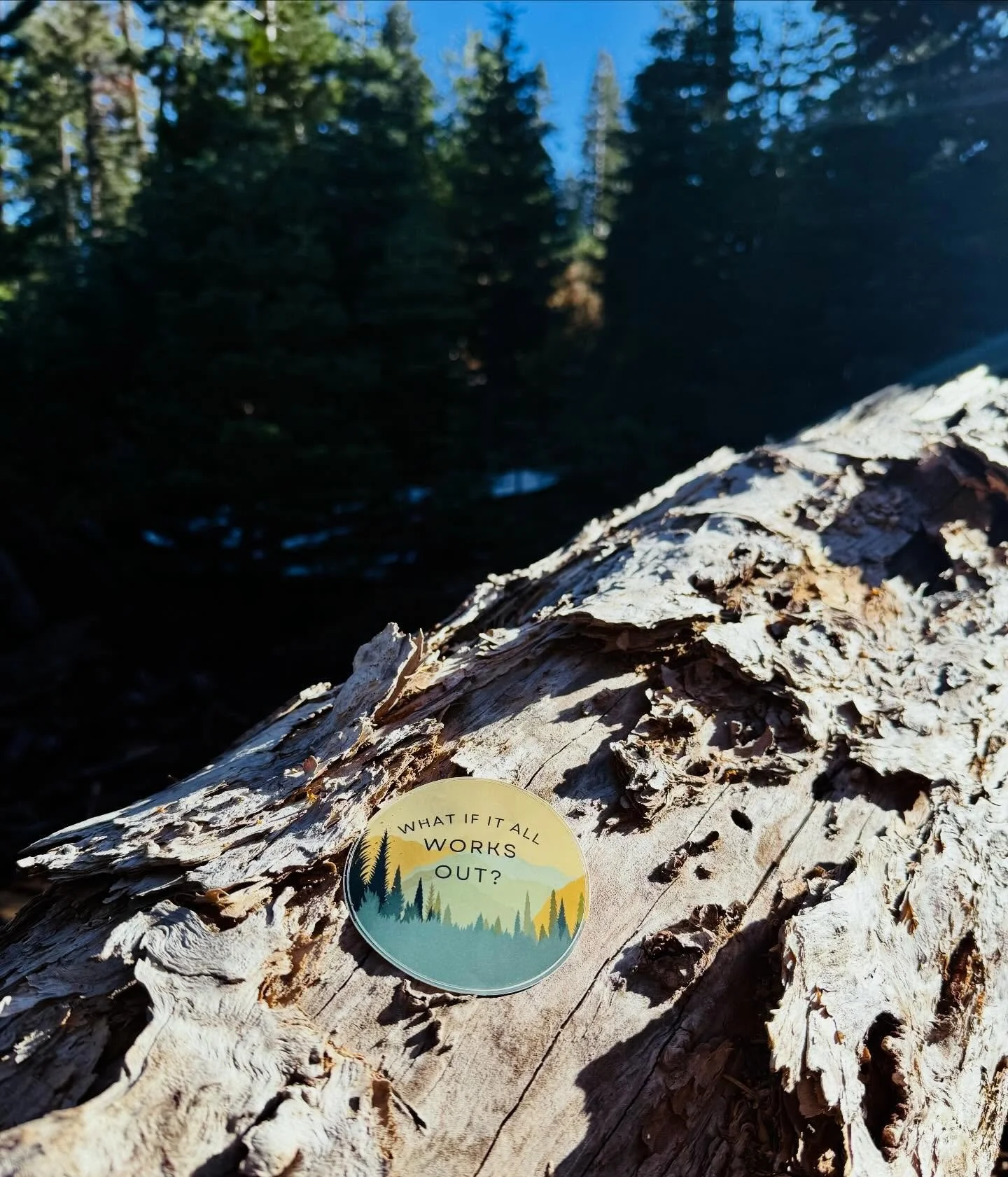 did you know your brain is constantly looking for ways to prove your thoughts are true?

&ldquo;what if it all works out?&rdquo; is more than a positive reframe.

it&rsquo;s offering your brain a new lens with which to view life through.

a more hope