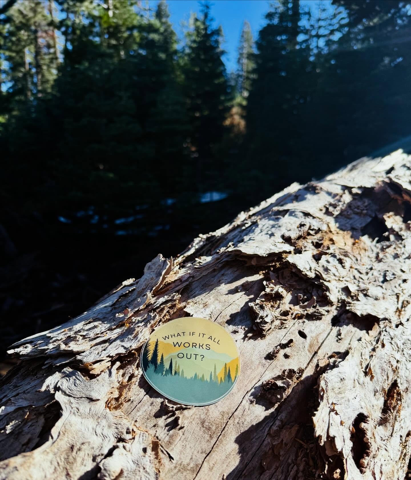 did you know your brain is constantly looking for ways to prove your thoughts are true?

&ldquo;what if it all works out?&rdquo; is more than a positive reframe.

it&rsquo;s offering your brain a new lens with which to view life through.

a more hope