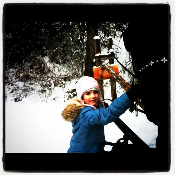Maia greeting the horse on our sleigh ride