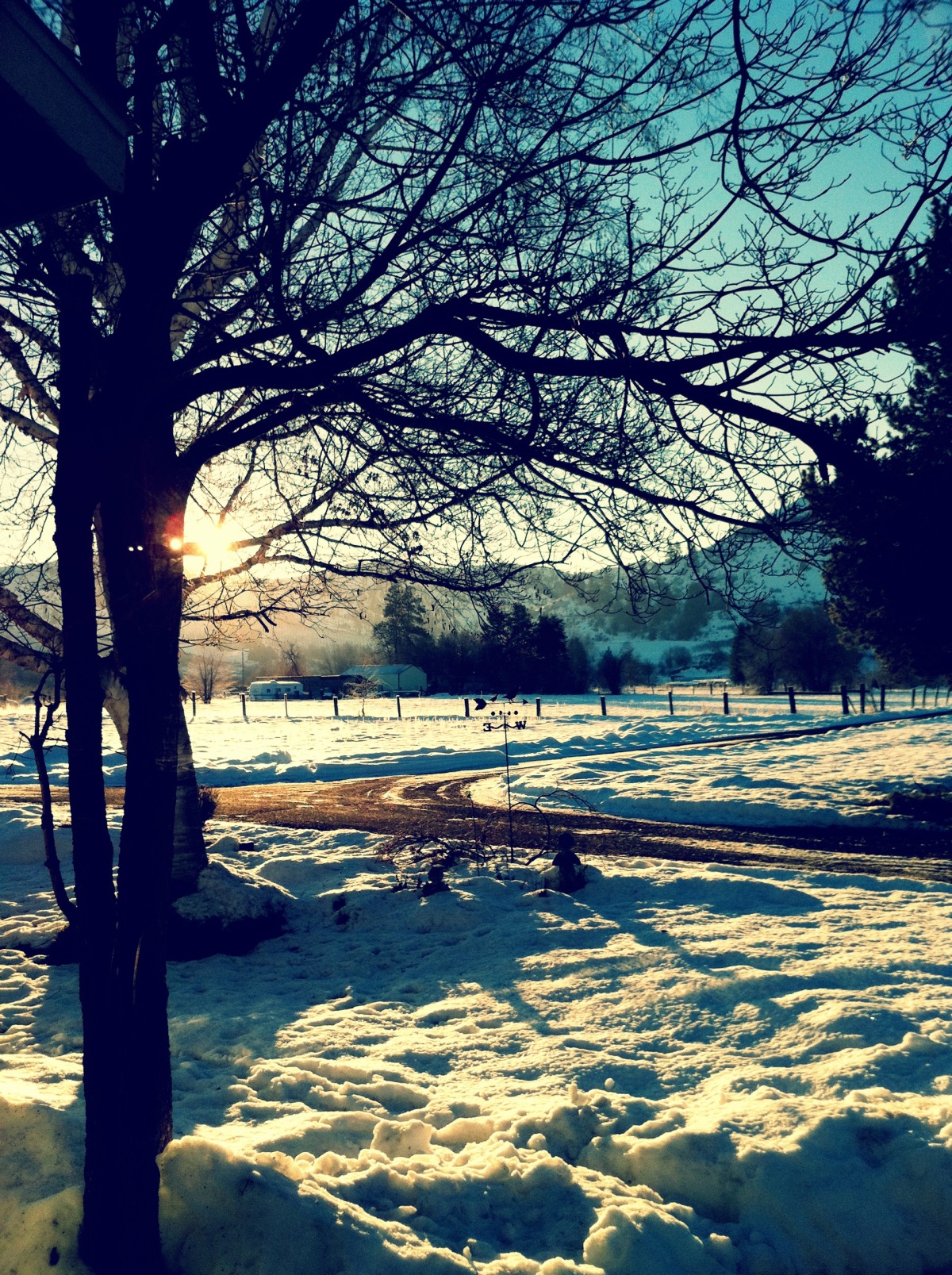 The road to Great Grandma’s