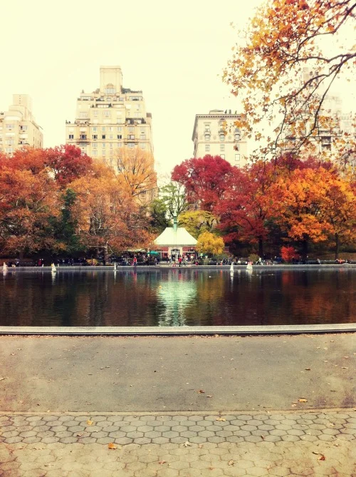 Photo1 (2).jpg