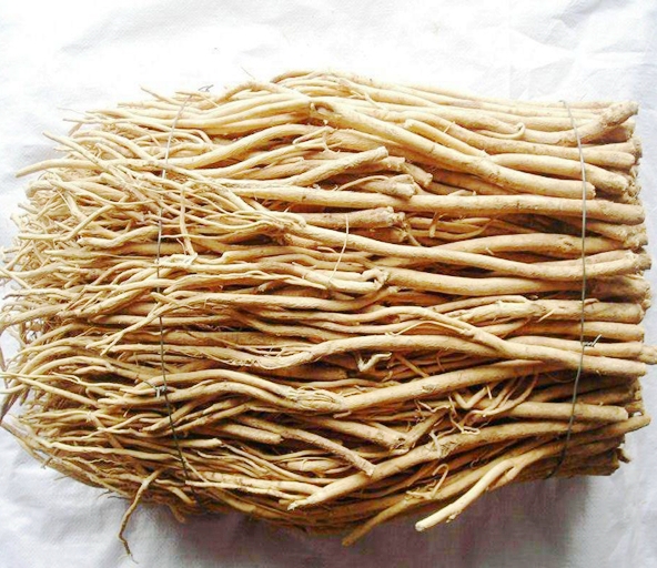 Astragalus-Root-Extract-Powder1-TCM-Adaptogen-Warehouse.jpg