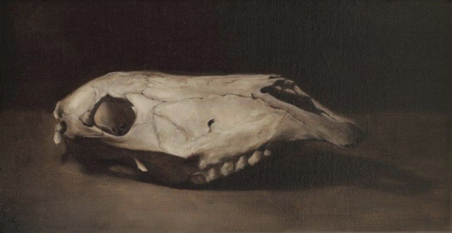 Doe Skull