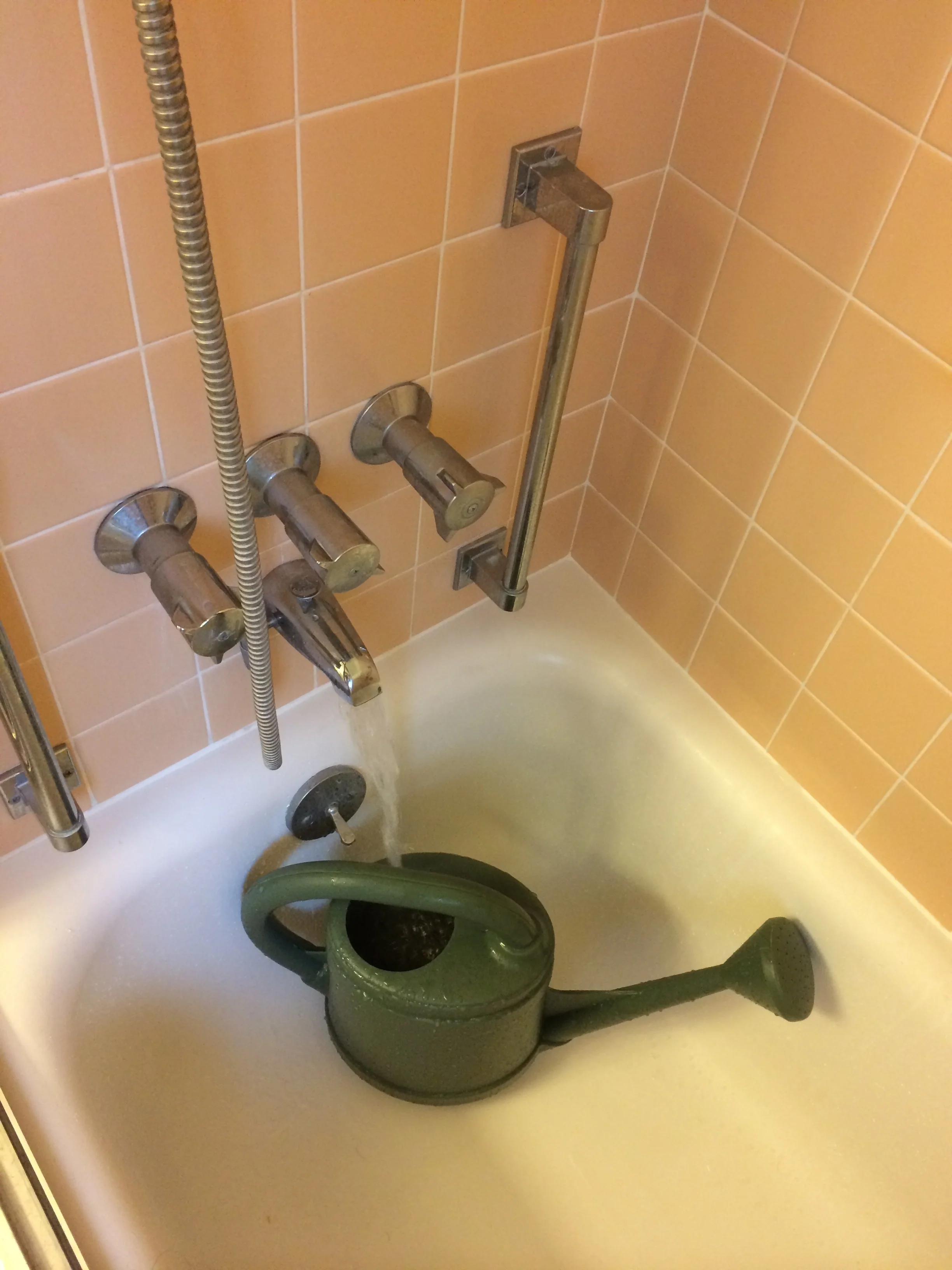 Water Collection While Waiting For Hot Water