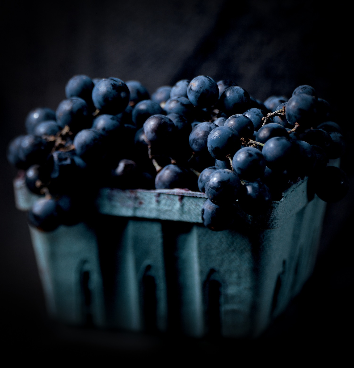 1303_untitled_001-2-2.jpg