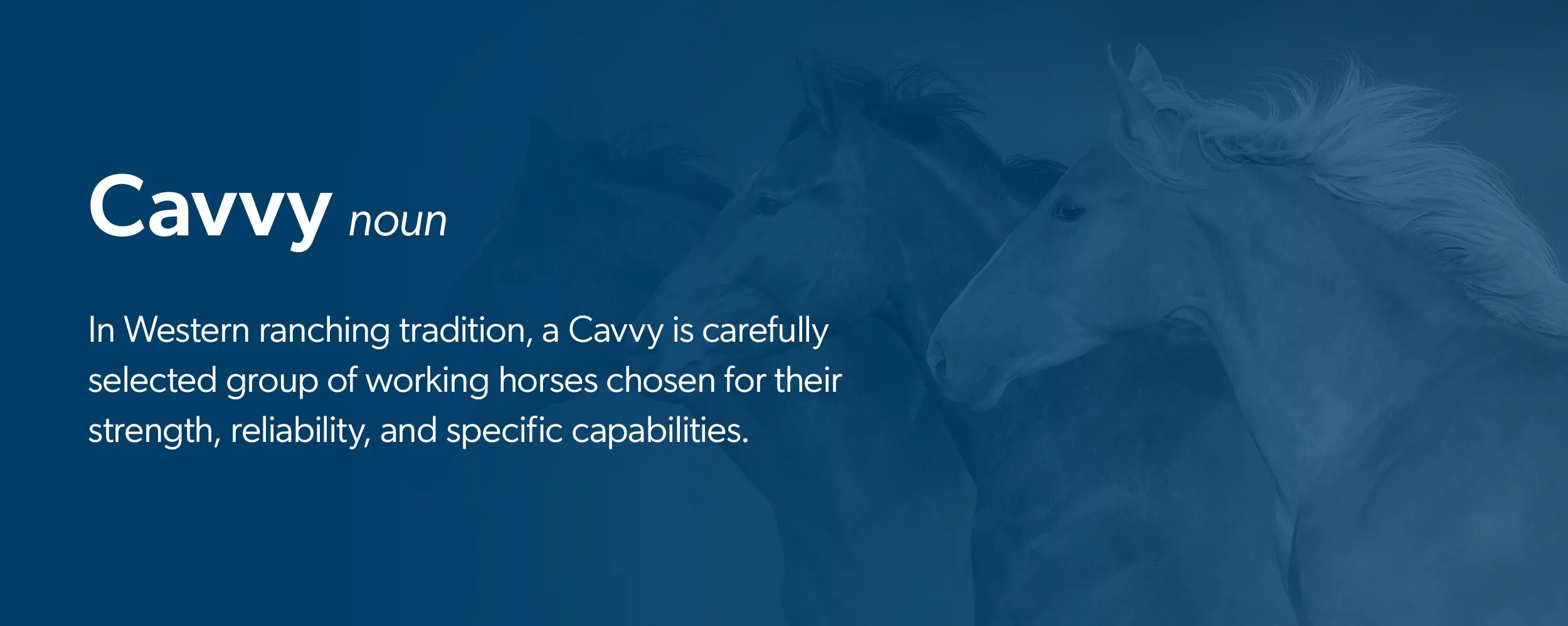 CAVVY-Brand3.jpg