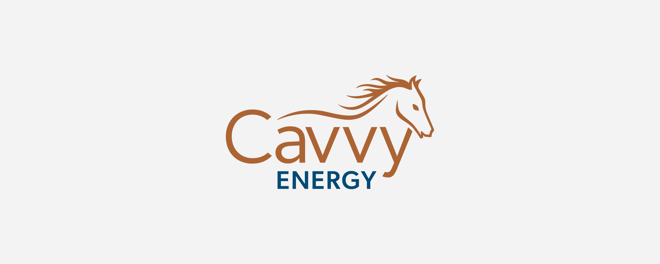 CAVVY-Brand7.jpg